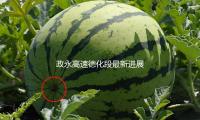 政永高速德化段最新进展！