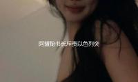 阿盟秘书长斥责以色列突击叙利亚 — 新京报