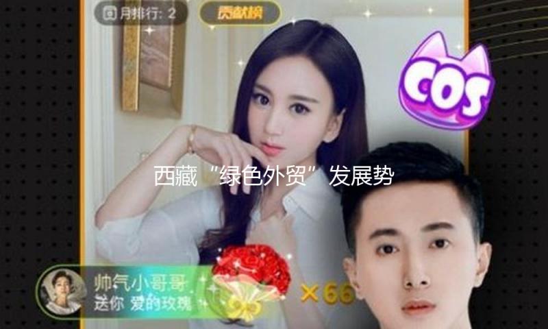 西藏“绿色外贸”发展势头杰出 远景宽广