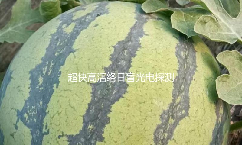 超快高活络日盲光电探测器研制成功